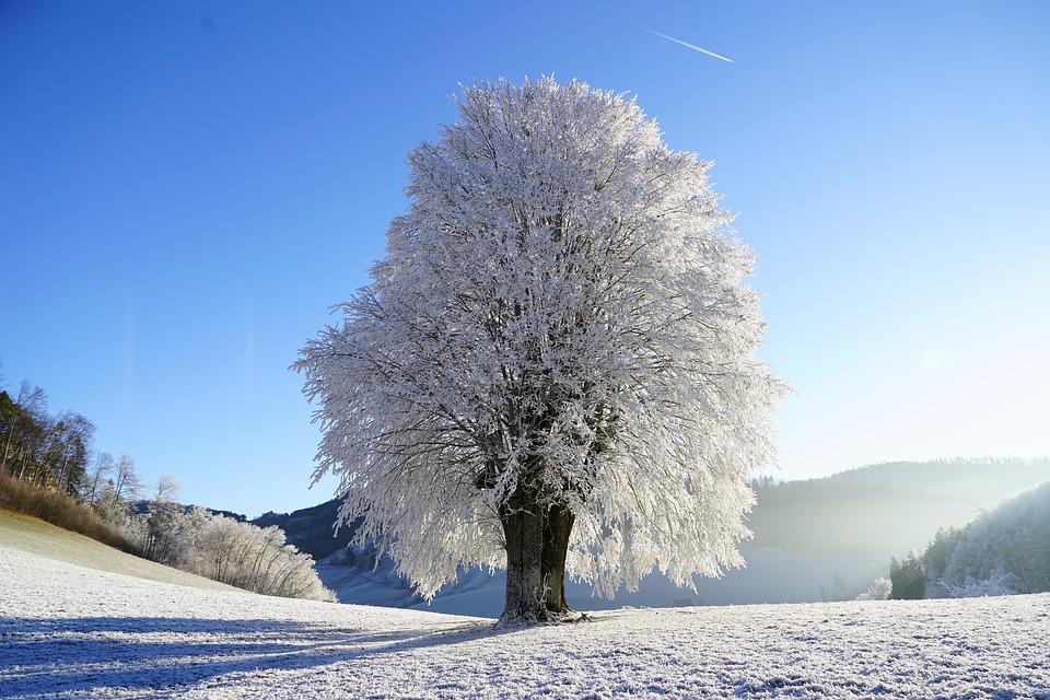 One January morning