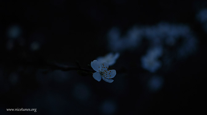 Stars without a name
